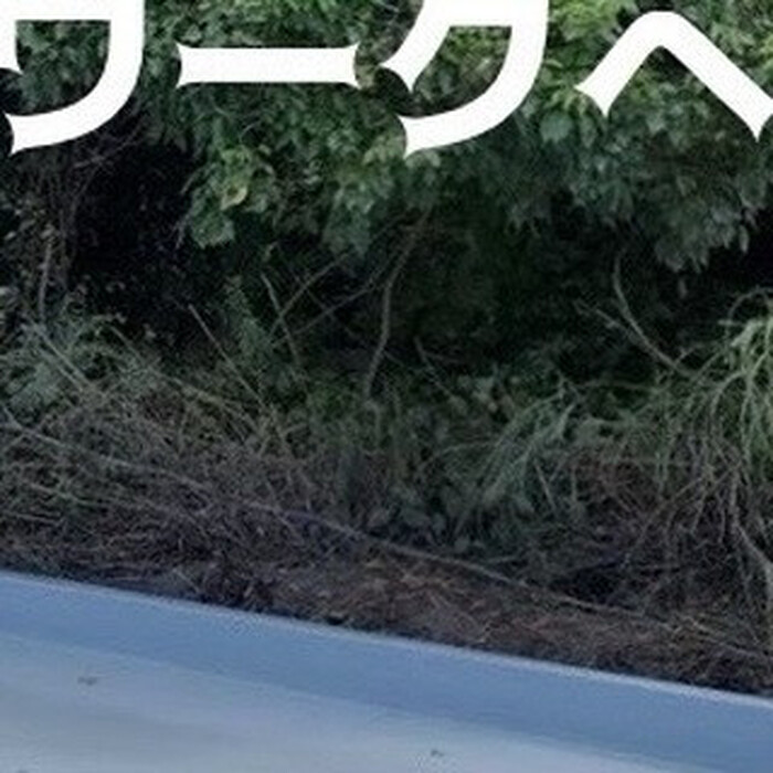 画像337