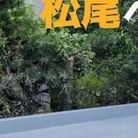 画像341