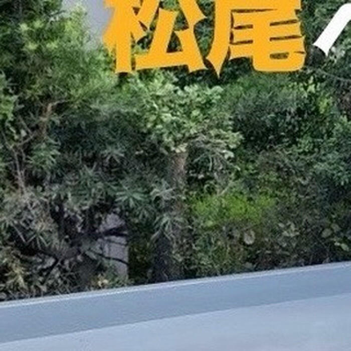 画像341
