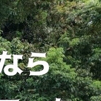 画像343