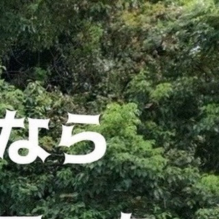 画像343