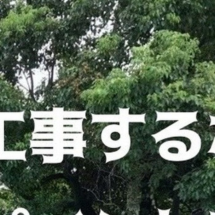 画像345