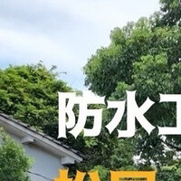 画像347