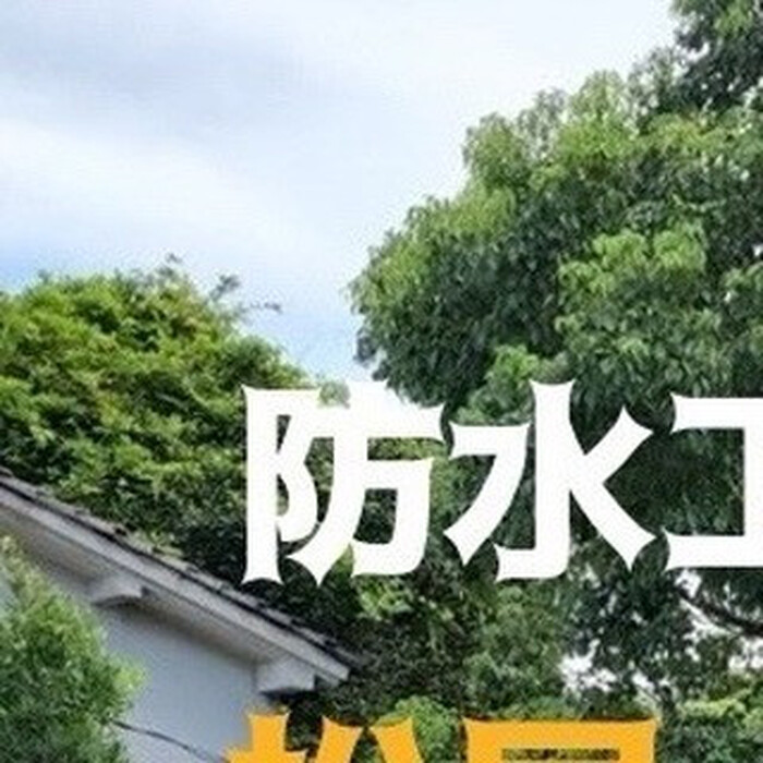 画像347