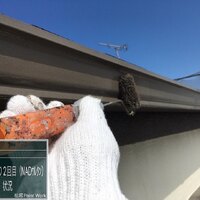 画像381