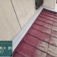 画像431