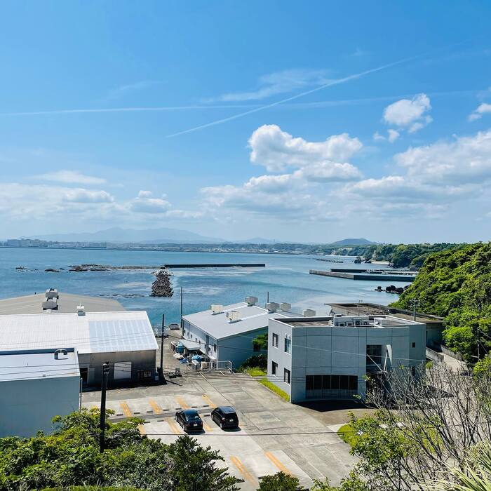 画像442